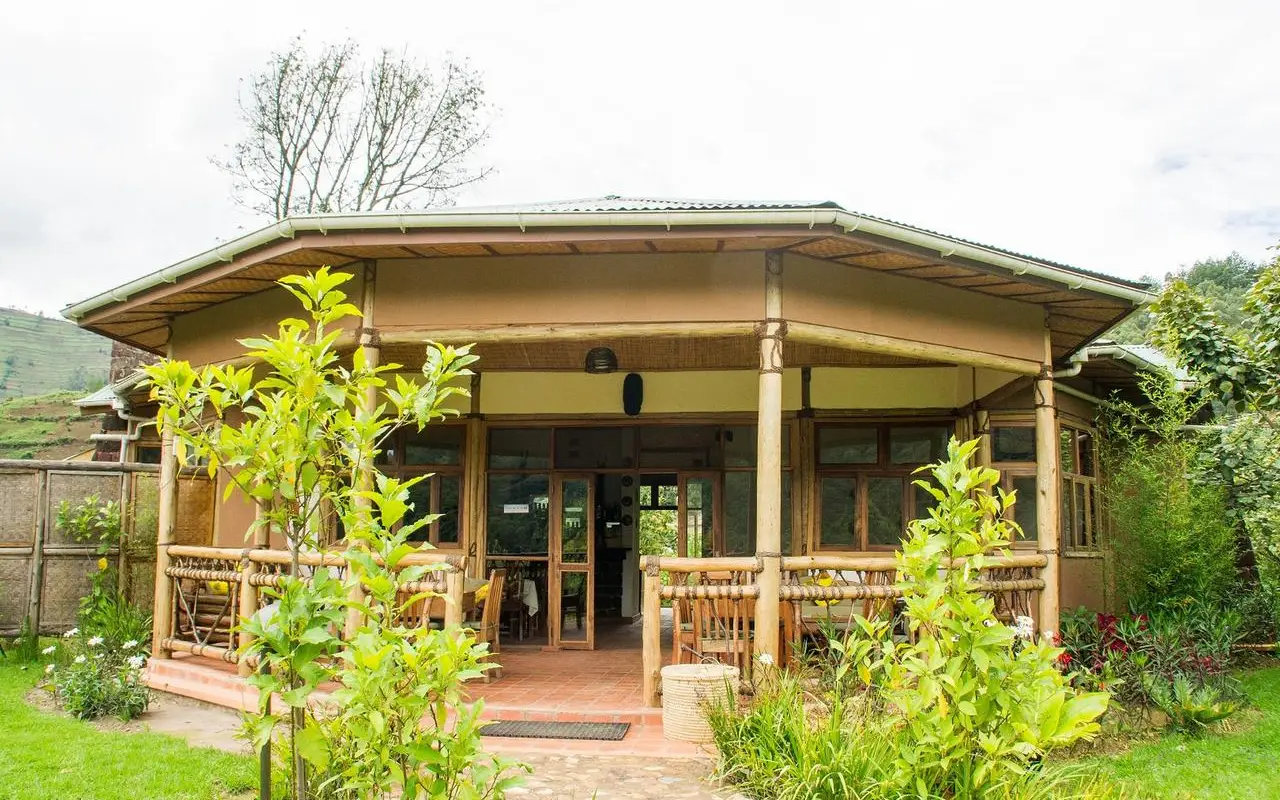 6 Days Gorilla Trekking and Golden Monkey Safari Lodge