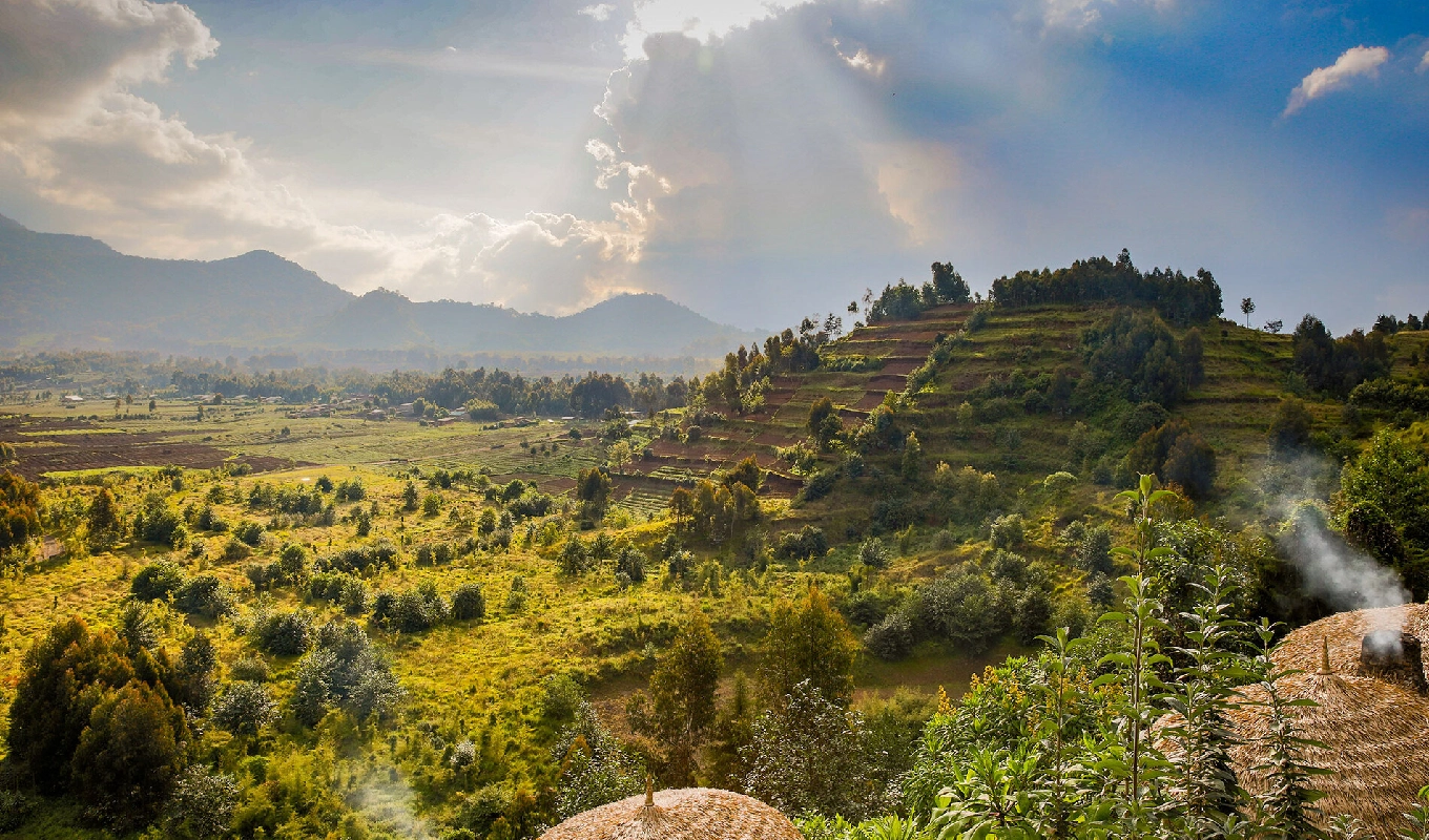 6 Days Rwanda Akagera Wildlife & Volcanoes Gorilla Trek WildLife