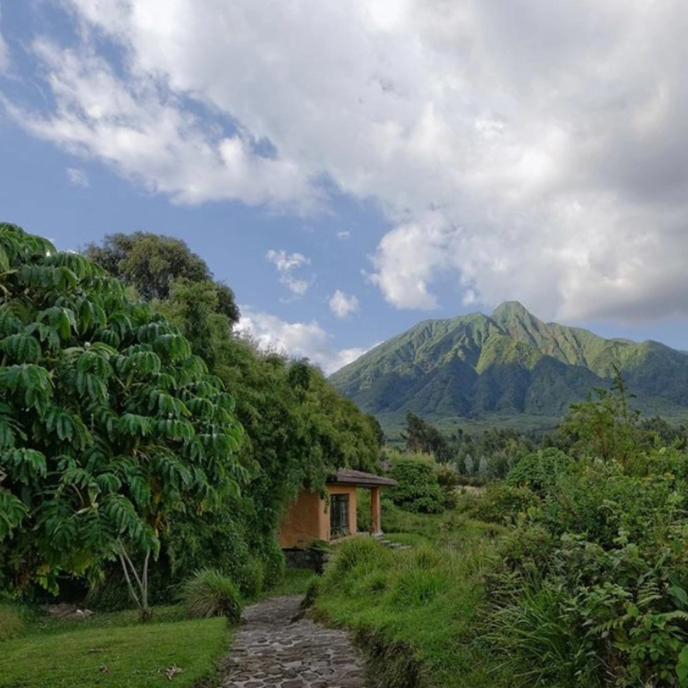 6 Days Rwanda Akagera Wildlife & Volcanoes Gorilla Trek Attractions