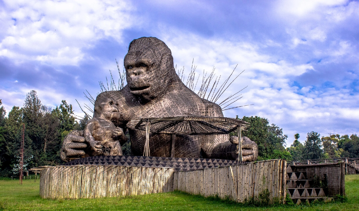 6 Days Rwanda Akagera Wildlife & Volcanoes Gorilla Trek WildLife