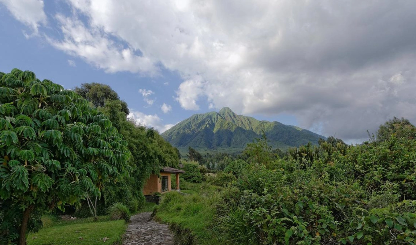 6 Days Rwanda Akagera Wildlife & Volcanoes Gorilla Trek WildLife