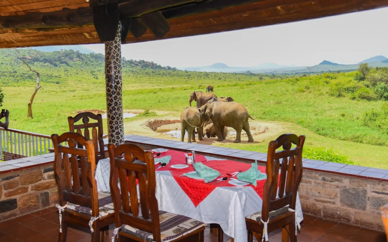 6 Days Tsavo Battlefield Tour and Safari Accommodation