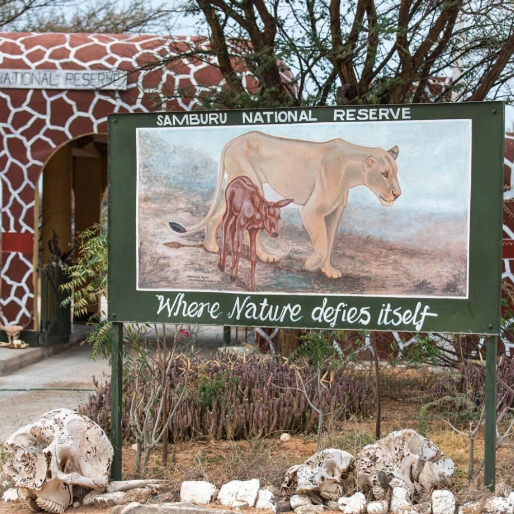 7 Days Best Of Kenya Attractions