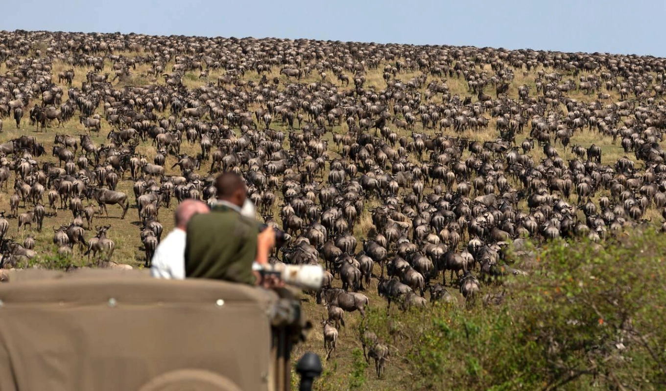 7 Days Best Of Kenya Masai Mara