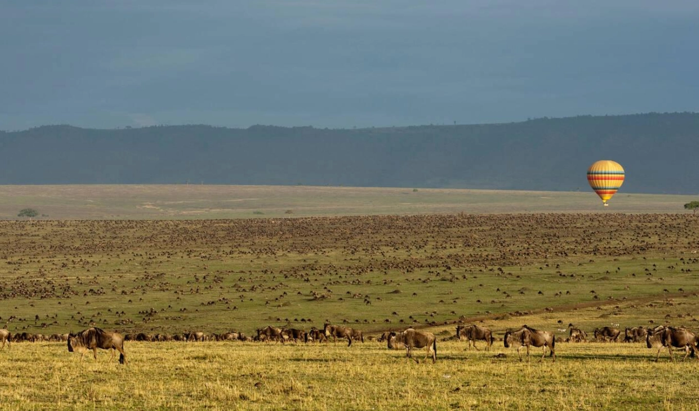7 Days Best Of Kenya Wildlife