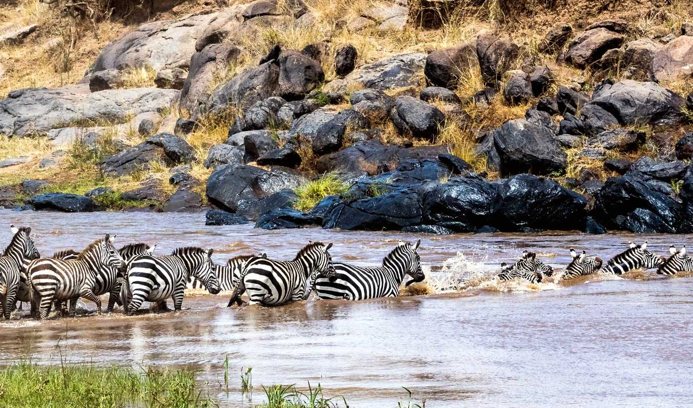 7 Days Best Of Kenya Wildlife