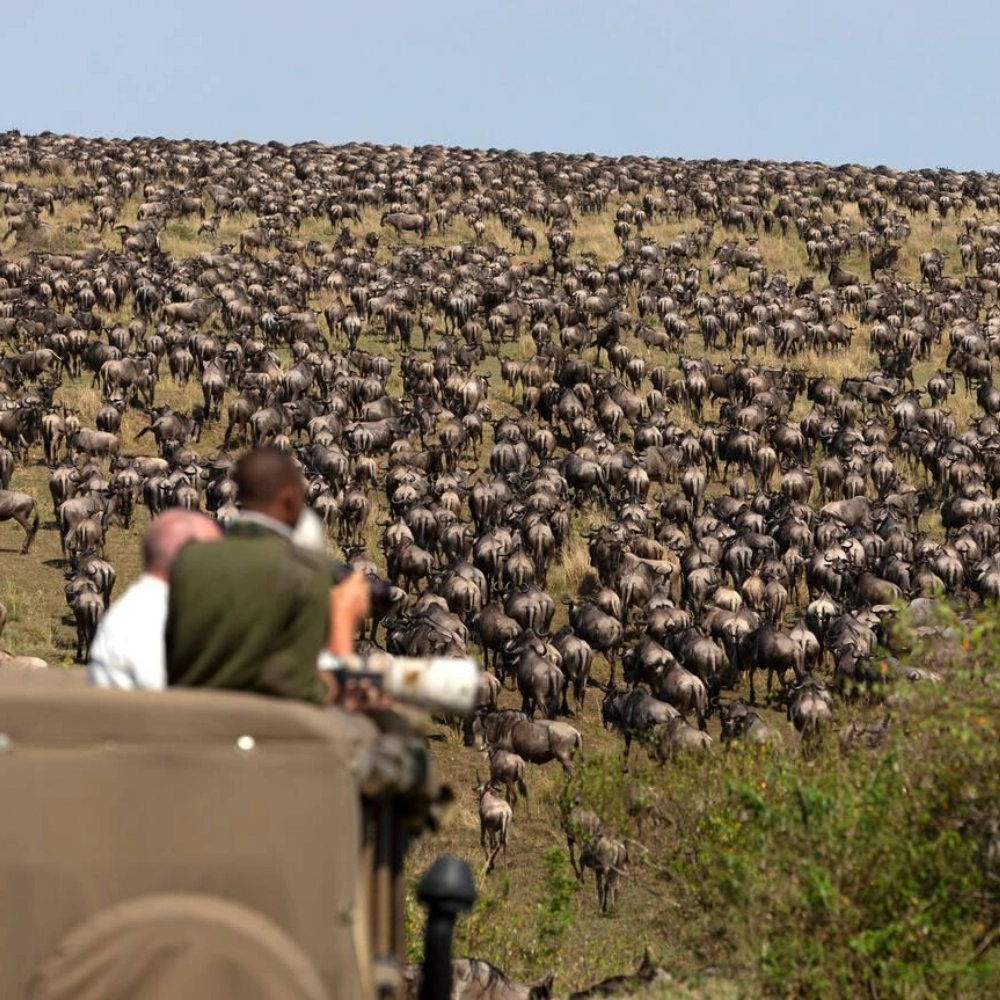 7 Days Best Of Kenya Attractions