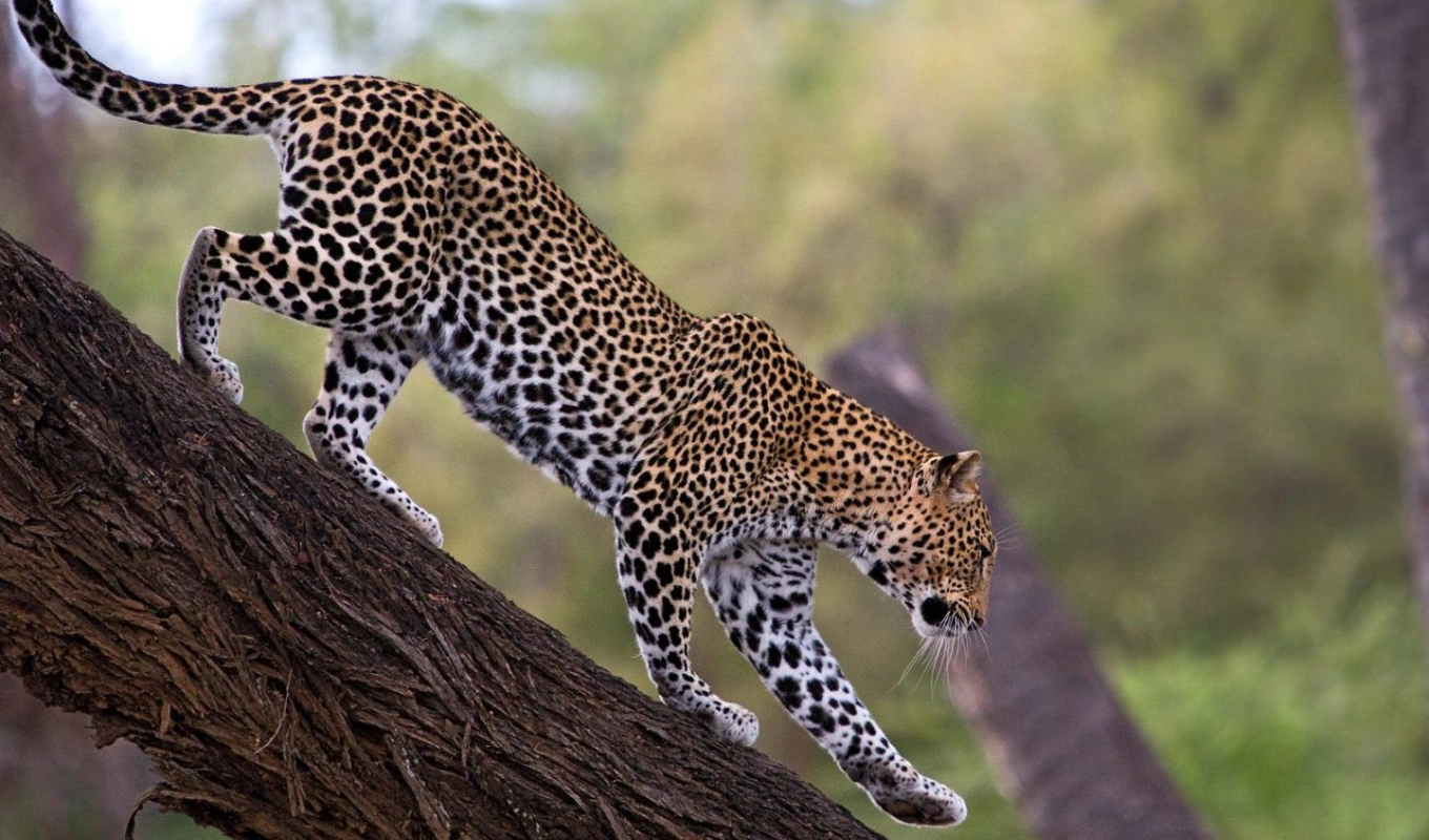 7 Days Best Of Kenya Samburu