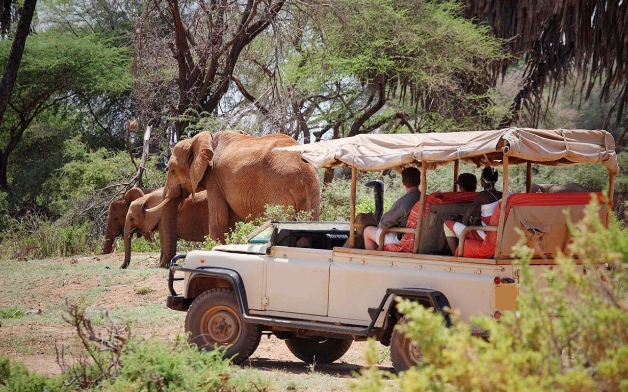 7 Days Best Of Kenya Scenic Drive