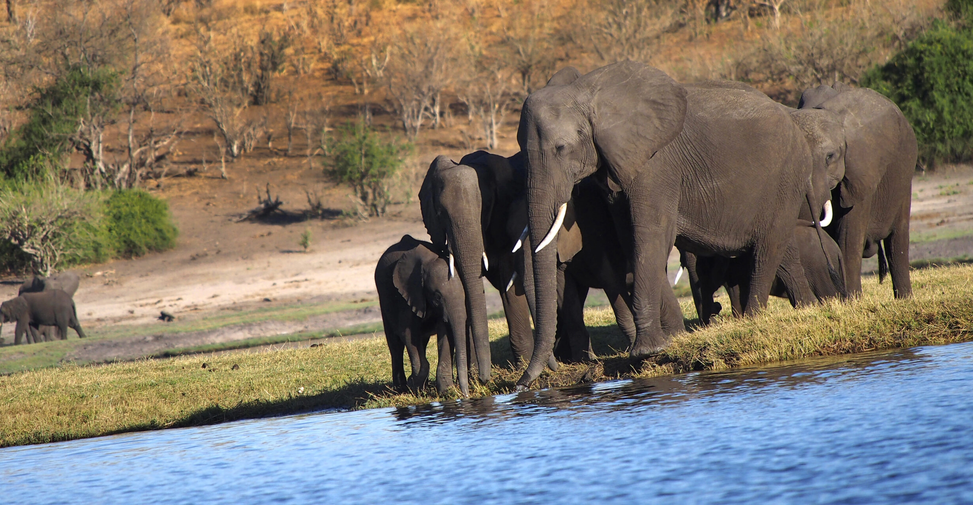 7 Days Best Of Kenya