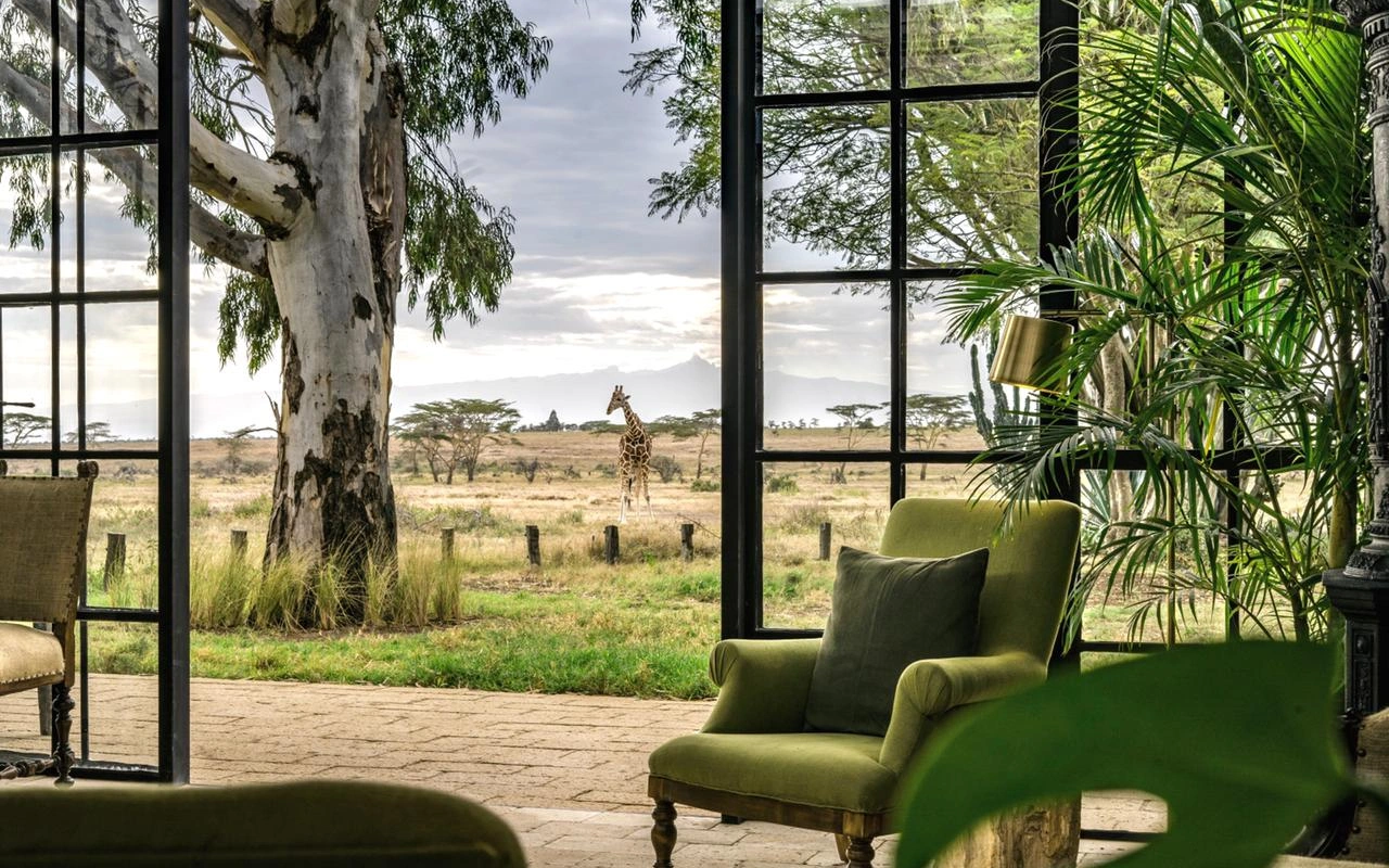 7 Days Best Of Laikipia & Maasai Mara Safari  Accommodations 