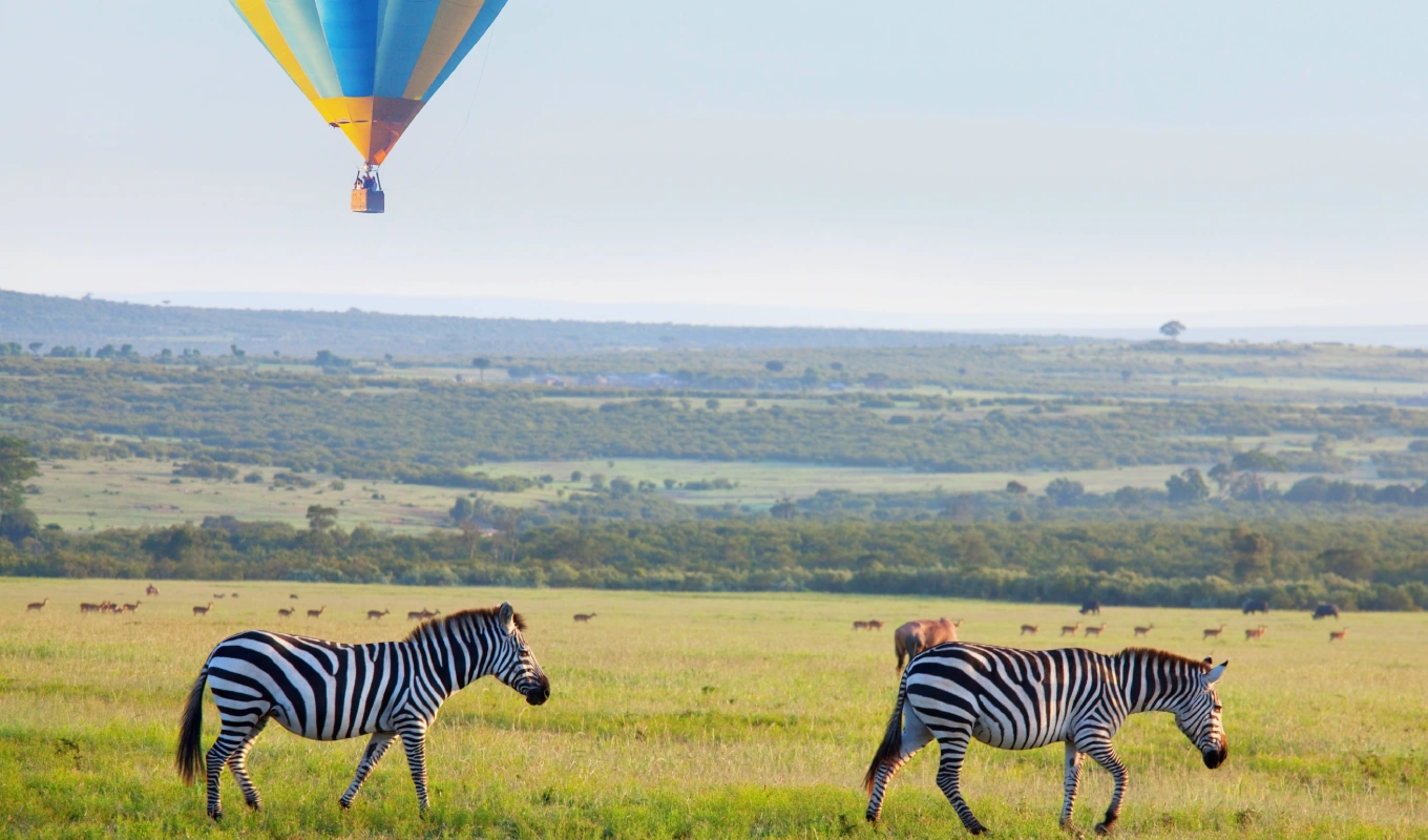 Fly to Maasai Mara