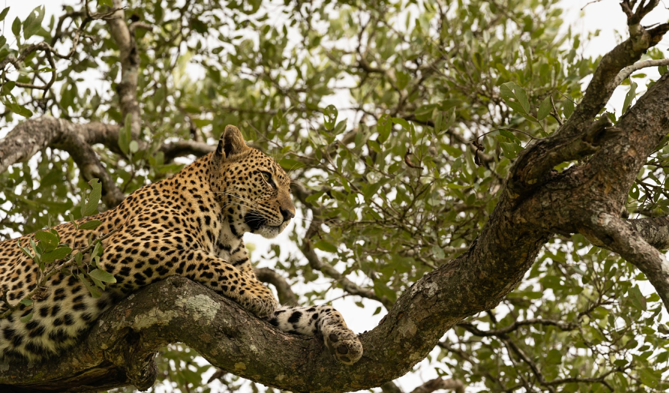 Sweetwaters Conservancy Exploration