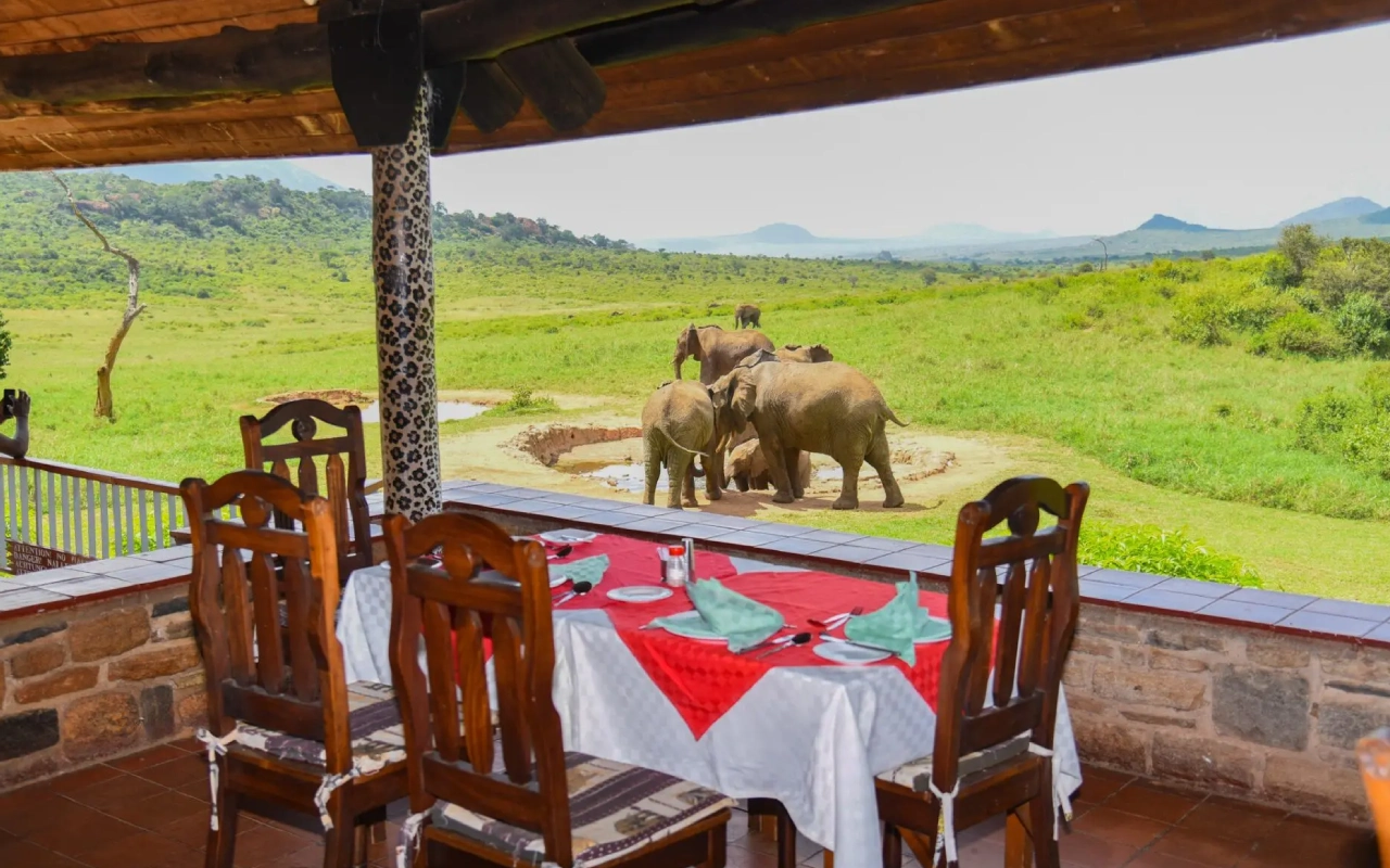 7 Days Kenya Safari From Mombasa Accommodation