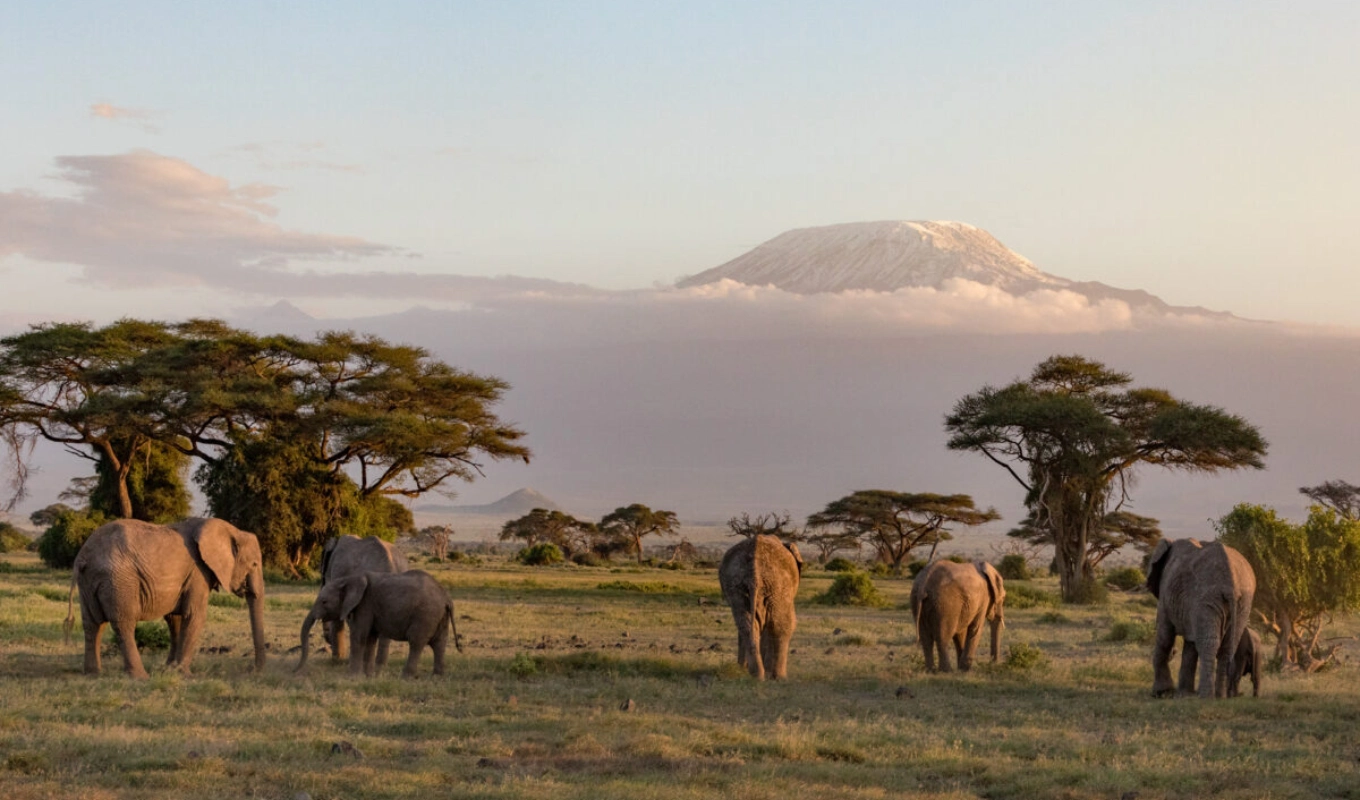 7 Days Kenya Safari From Mombasa Wildlife