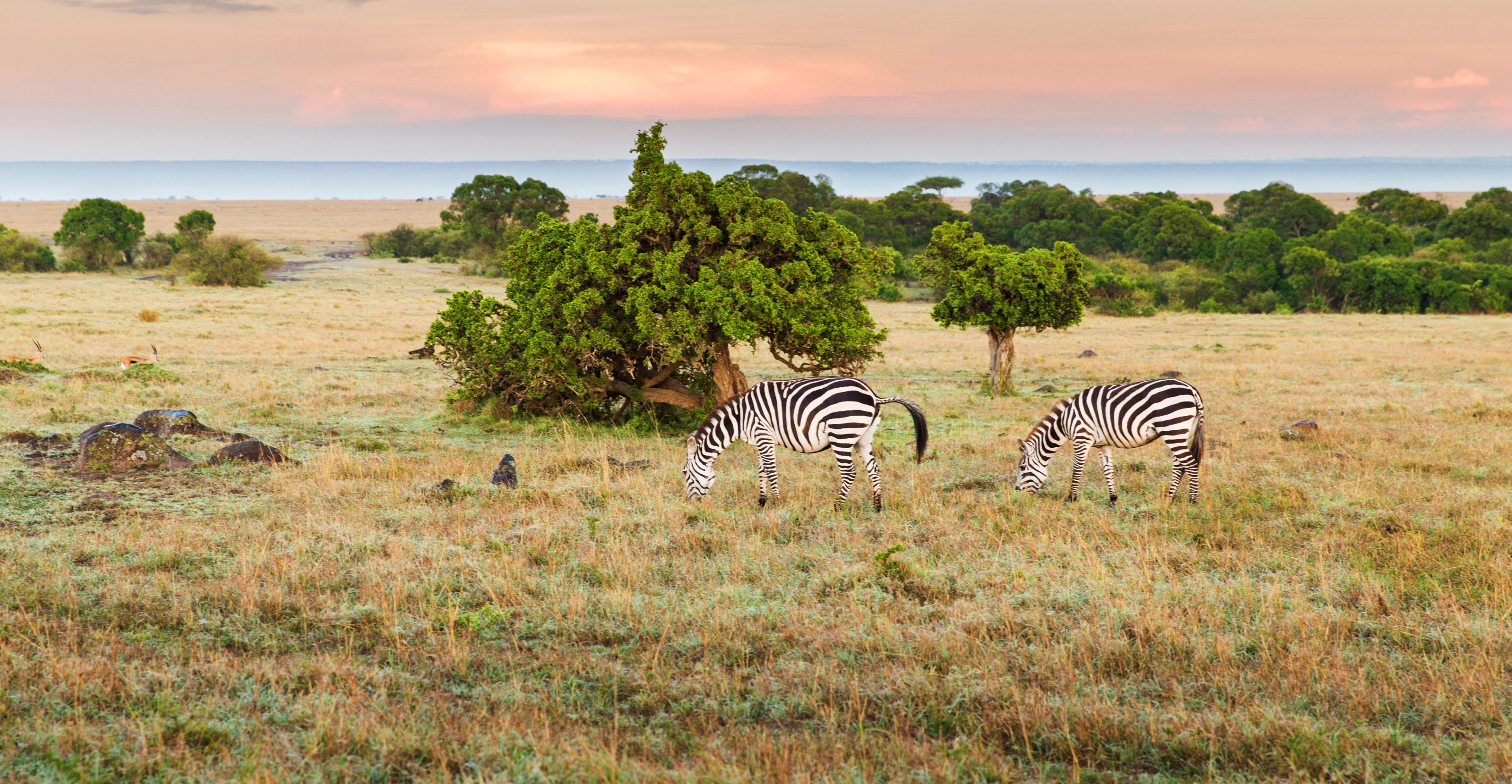 7 Days Kenya Safari From Mombasa