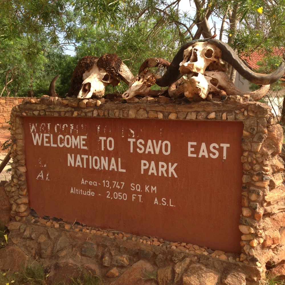 7 Days Kenyan Safari And Beach Attractions