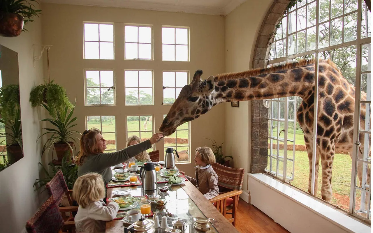 7 Days Kenyan Safari And Beach Gateway Accommodations