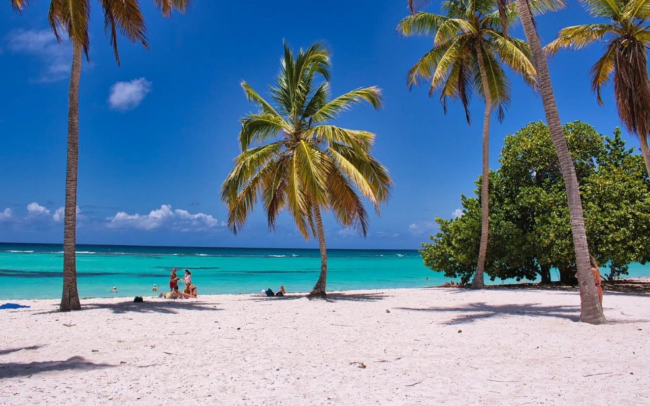 7 Days Kenyan Safari And Beach Gateway Attraction