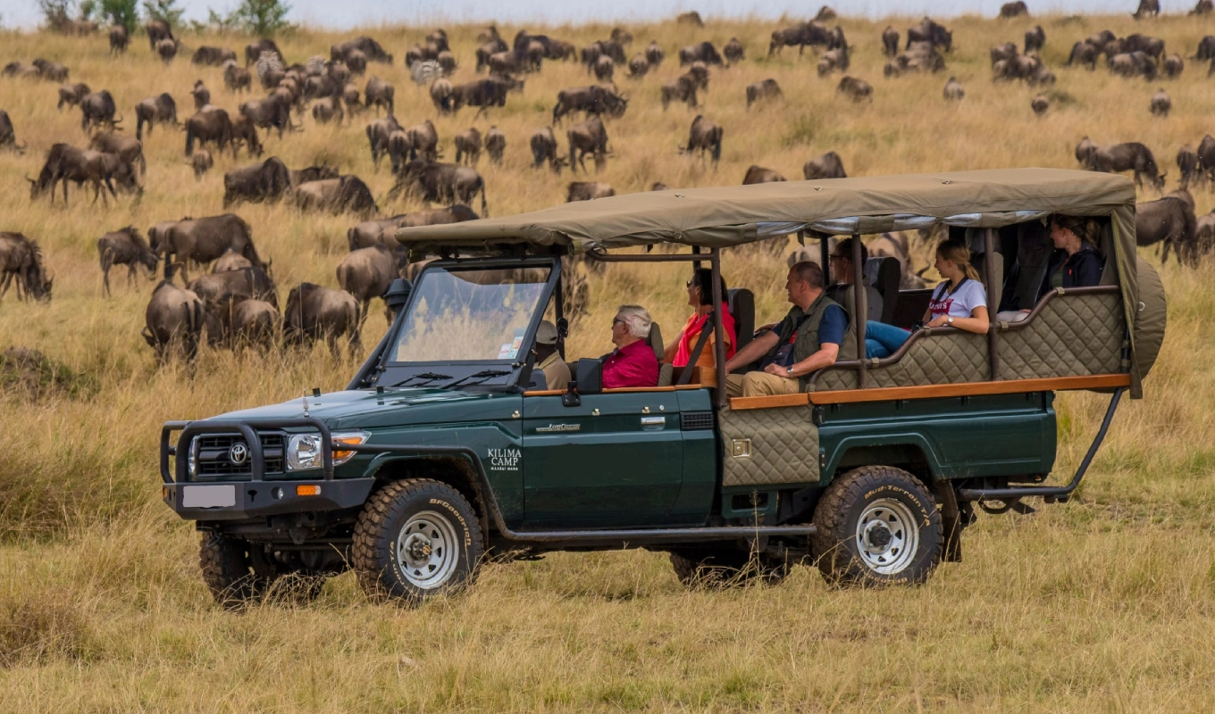 7 Days Kenya’s Wilderess Odyssey Morning Safari