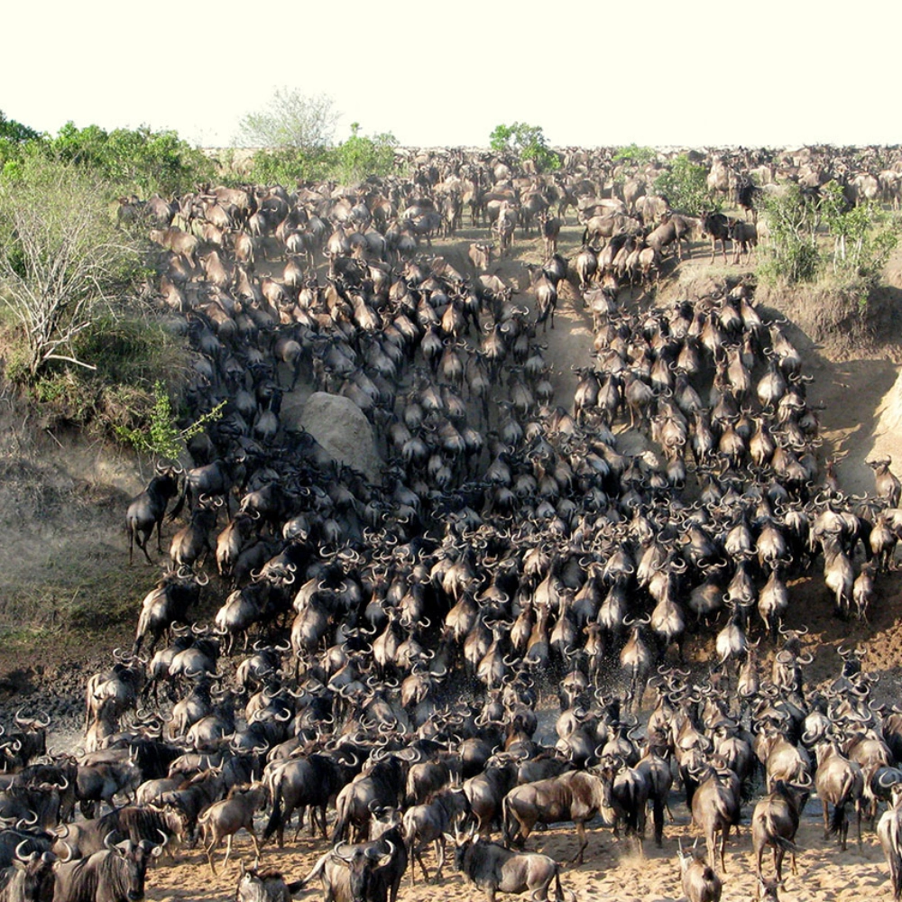 7 Days Kenya’s Wilderess Odyssey Attractions