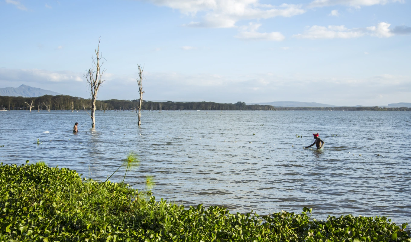 Lake Naivasha
