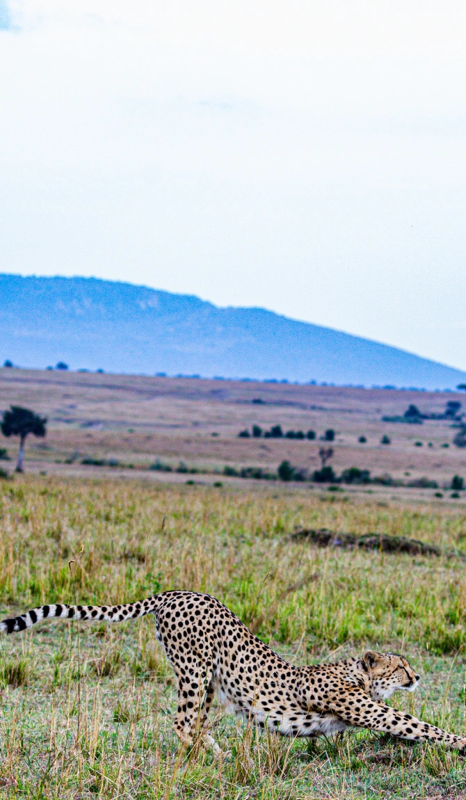 Northern Kenya Circuit