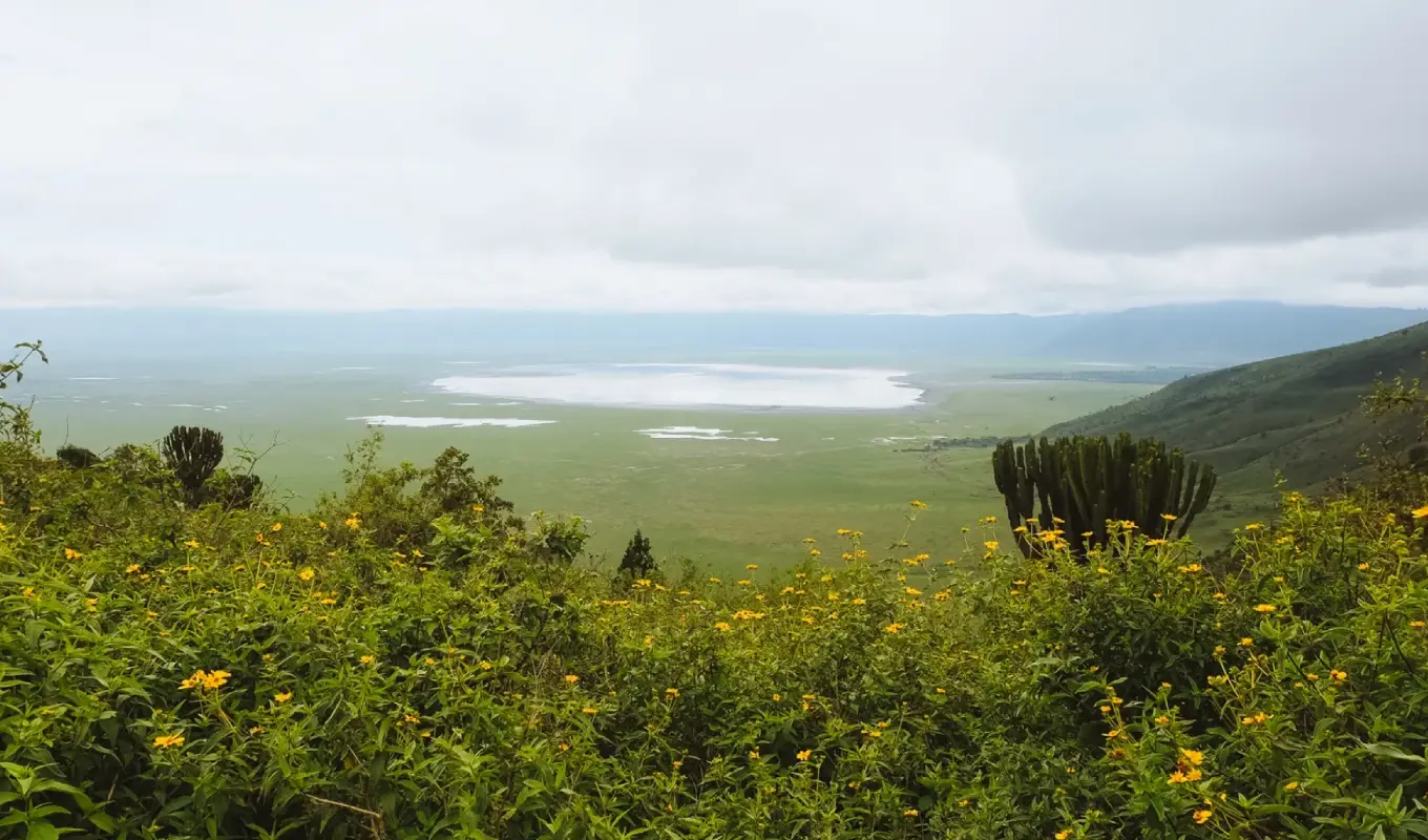 7 Days Northern Tanzania Safari & Cultural Encounter Game Drive