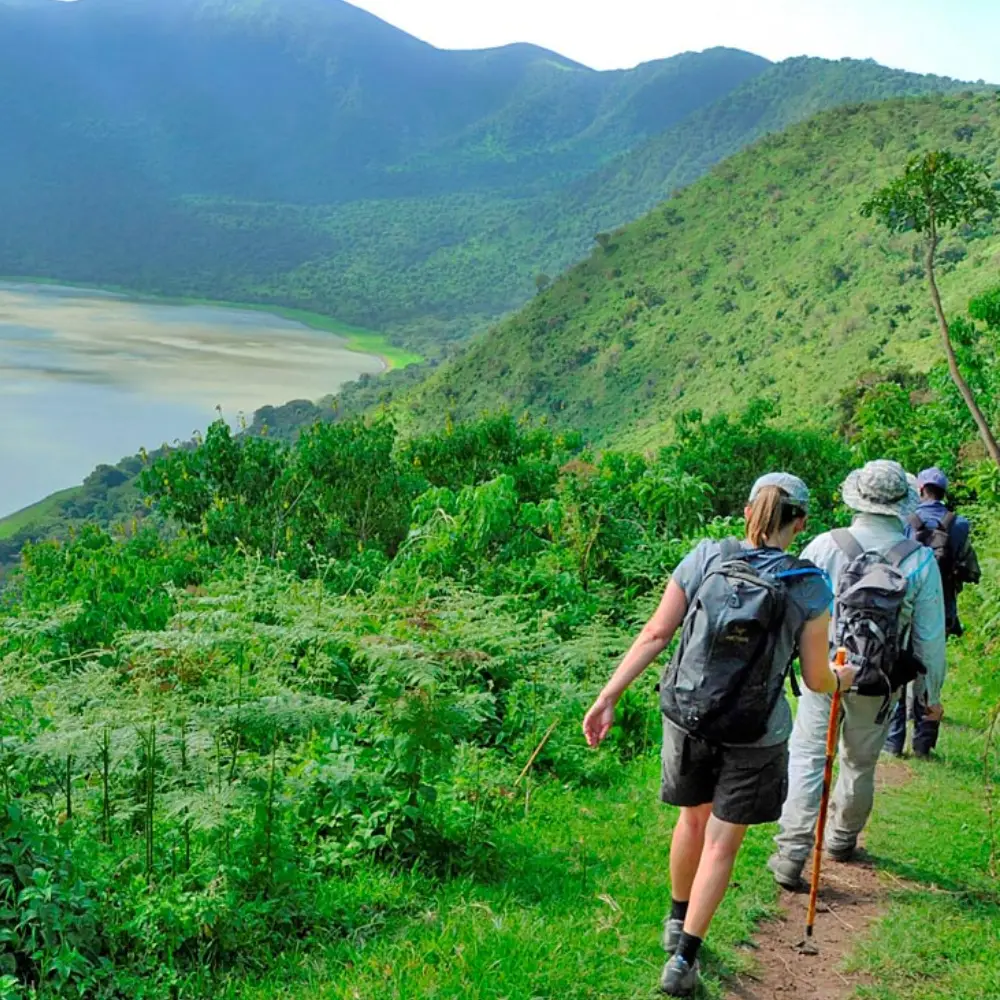 7 Days Northern Tanzania Safari & Cultural Encounter Game Drive