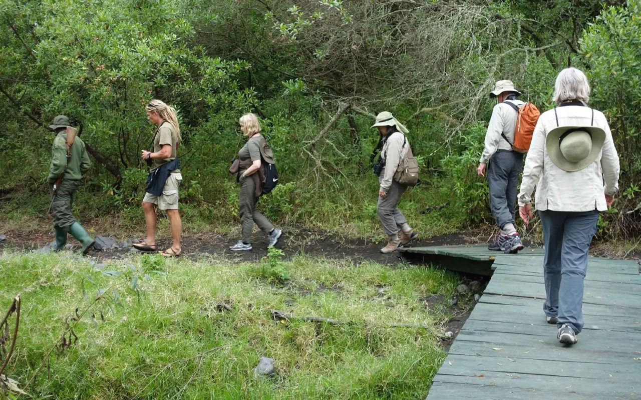 7 Days Northern Tanzania Safari & Cultural Encounter Game Drive