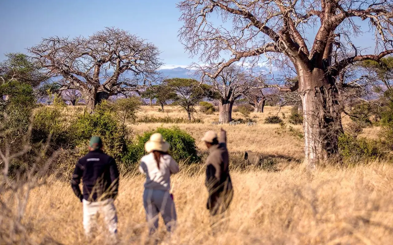 7 Days Northern Tanzania Safari & Cultural Encounter Game Drive