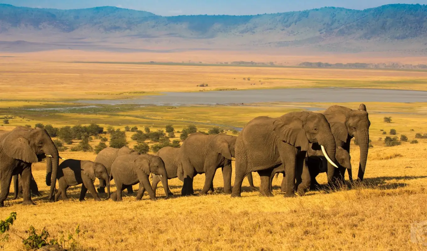 7-Days Treasures of North Tanzania Safari Ngorongoro Crater