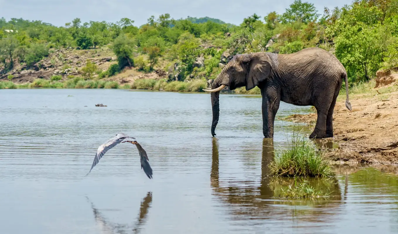 8 Days Discover Tanzania Northern Circuit Serengeti