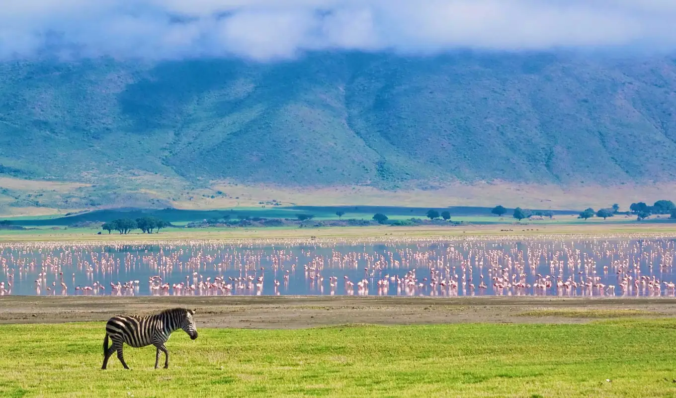 8 Days Discover Tanzania Northern Circuit Ngorongoro