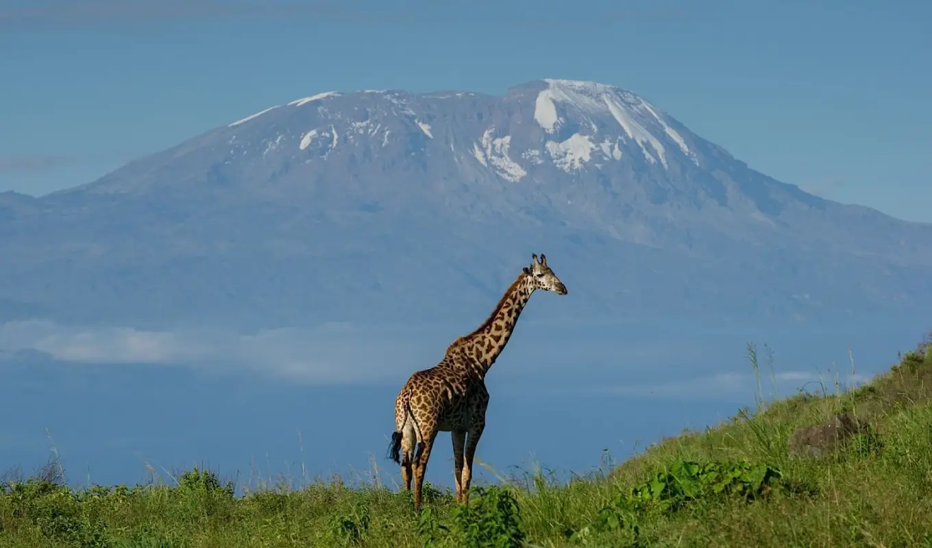 8 Days Discover Tanzania Northern Circuit Arusha