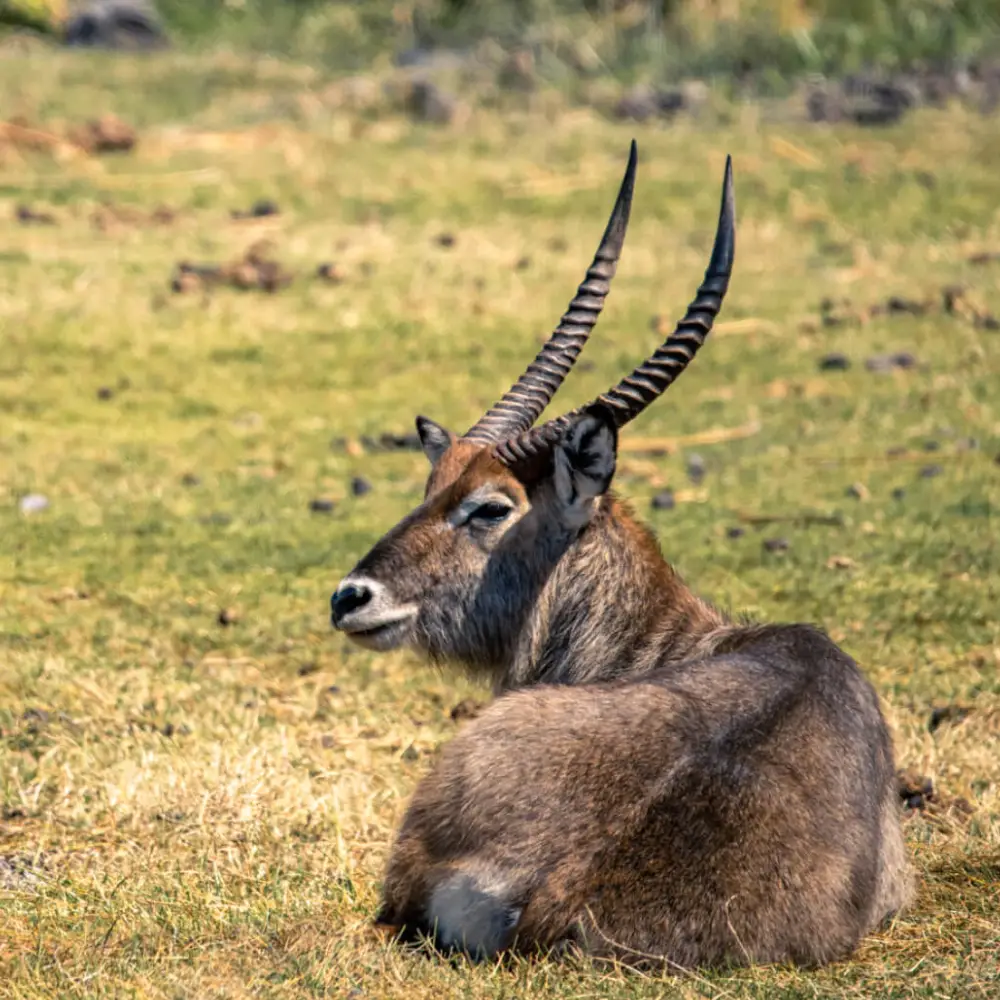 8 Days Discover Tanzania Northern Circuit 