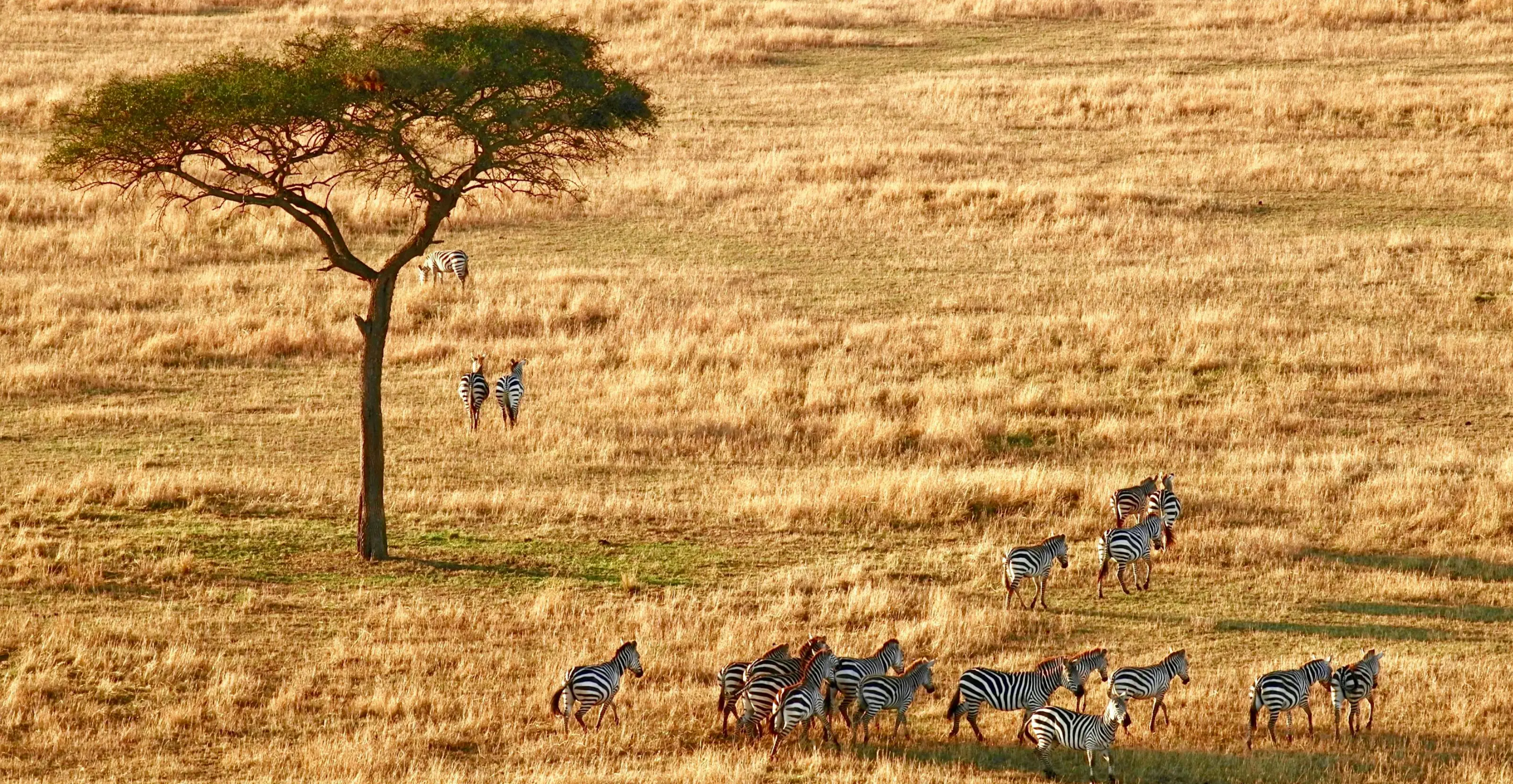 8 Days Discover Tanzania Northern Circuit 