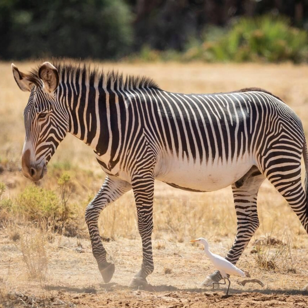 8 Days Kenya Safari Adventure Attractions