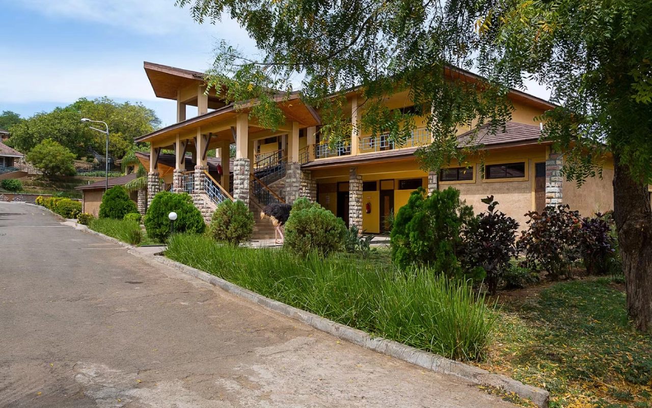 8 Days Kenya Safari Adventure Accommodations