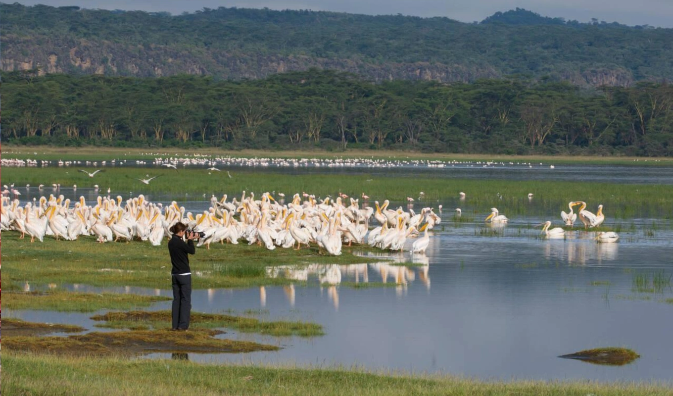 8 Days Kenya Safari Adventure Lake Nakuru
