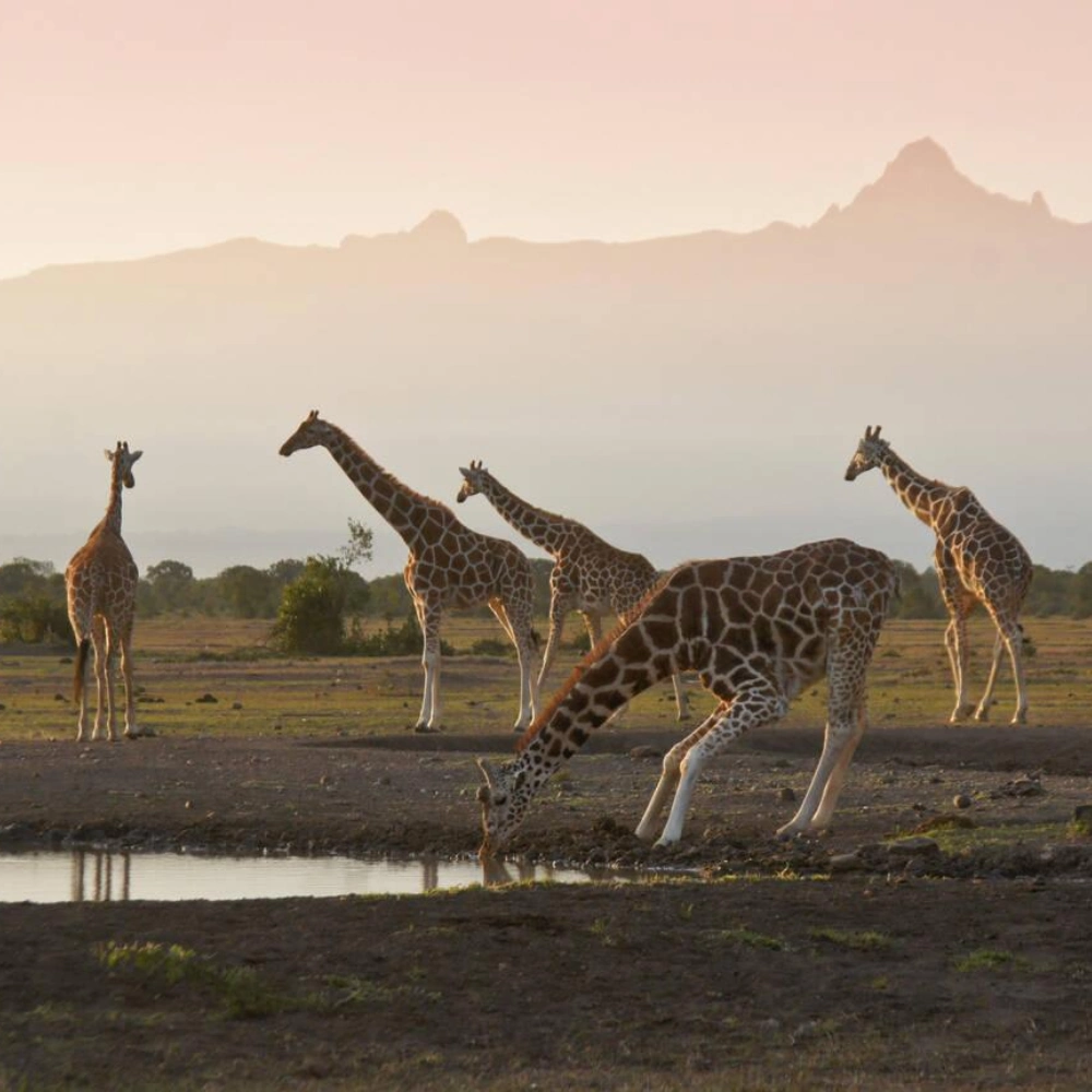 8 Days Kenya Safari Adventure Attractions