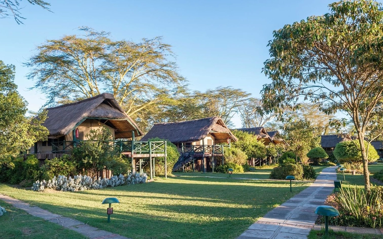 8 Days Kenya Safari Adventure Accommodations