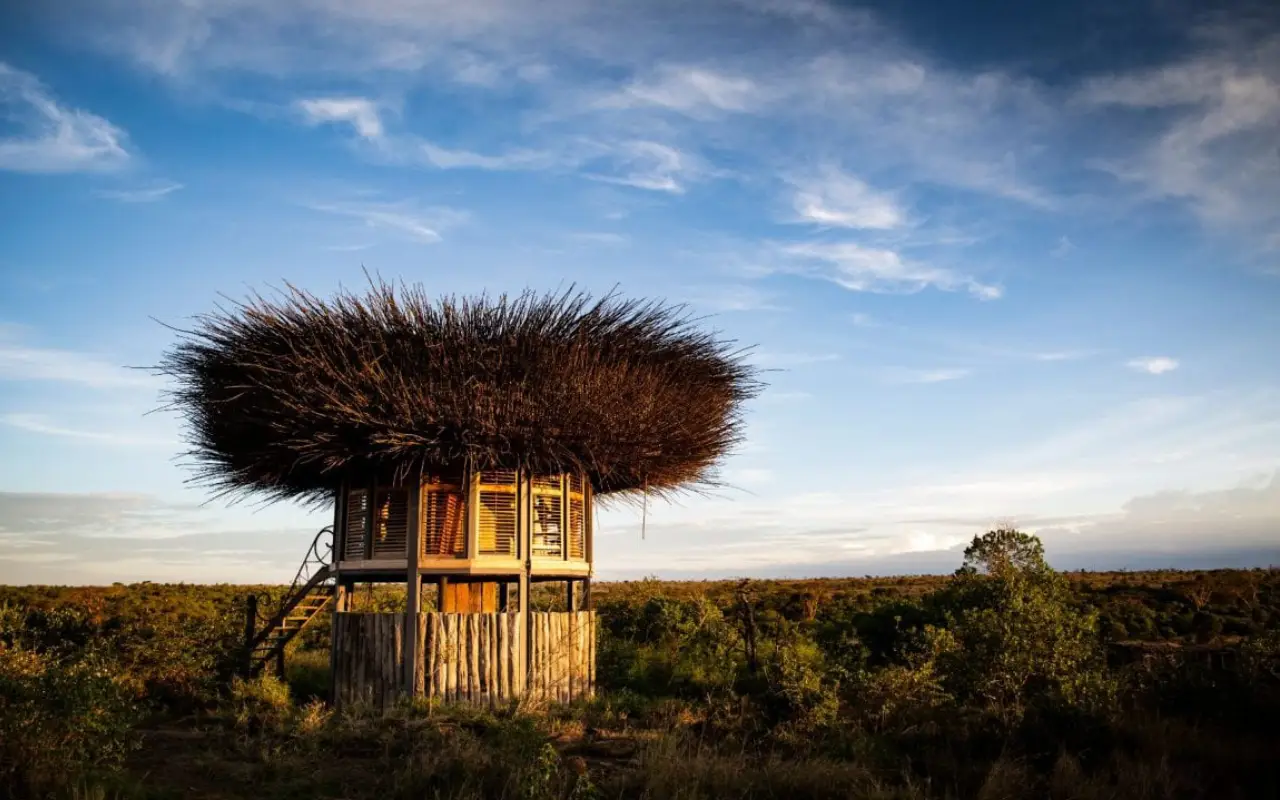 8 Days Luxury Fly-In Kenya Safari 