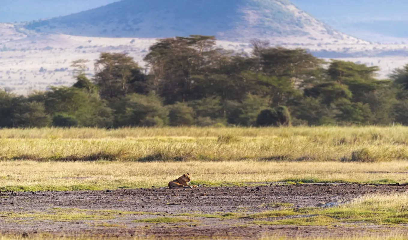 8 Days Luxury Fly-In Kenya Safari