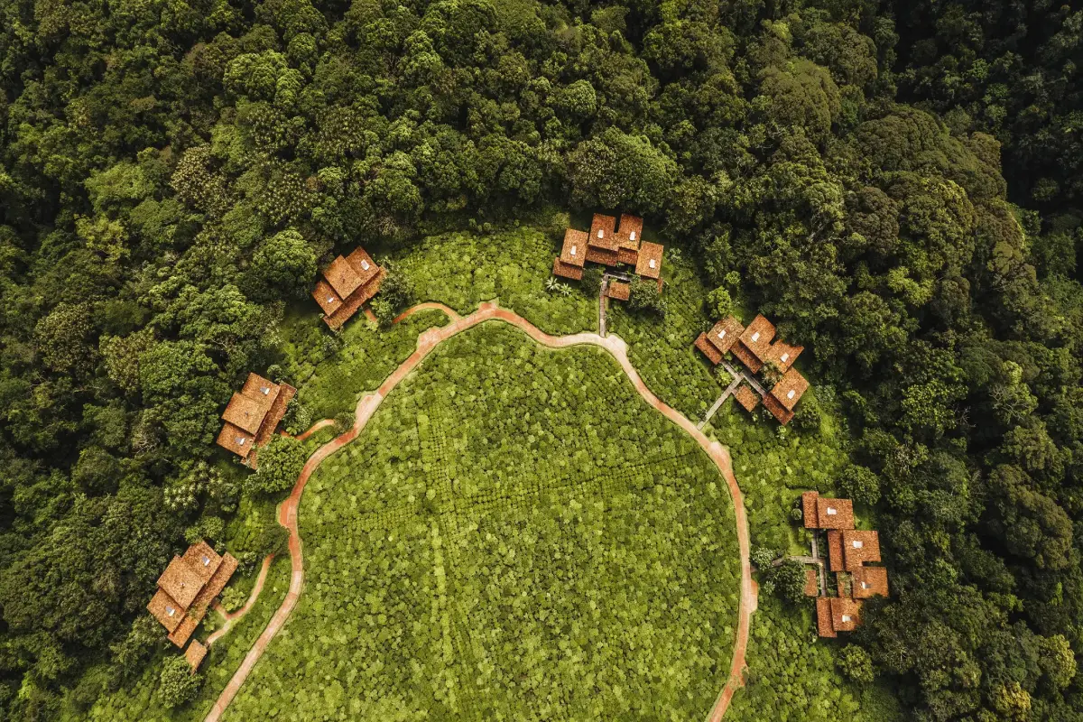 8 Days Rwanda Primate & Scenic Safari by Helicopter