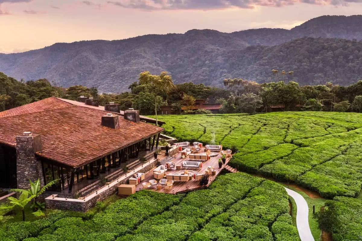 8 Days Rwanda Primate & Scenic Safari by Helicopter