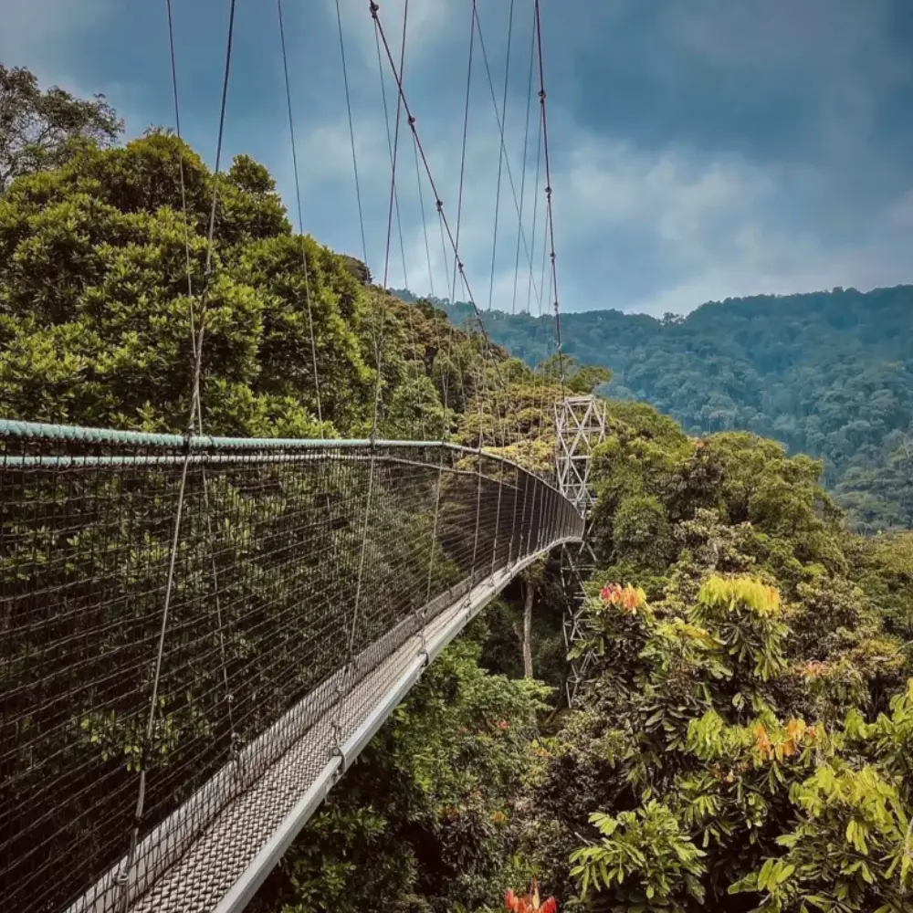 8 Days Rwanda Primate & Scenic Safari by Helicopter Attractions