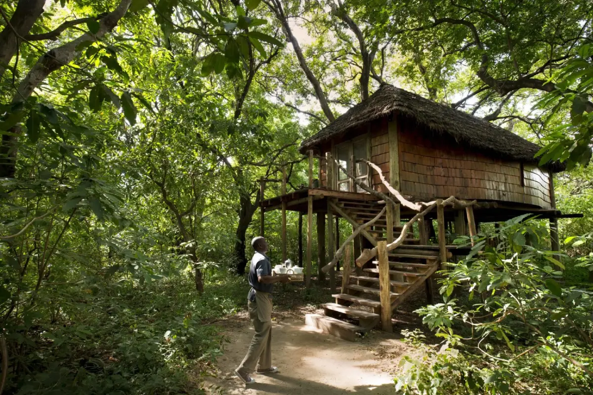 8 Days Tanzania Luxury Safari Itinerary Lodge