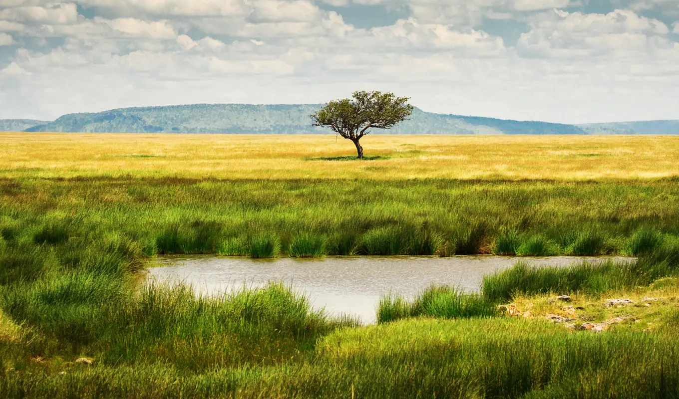 8 Days Tanzania Safari & Beach Break Serengeti