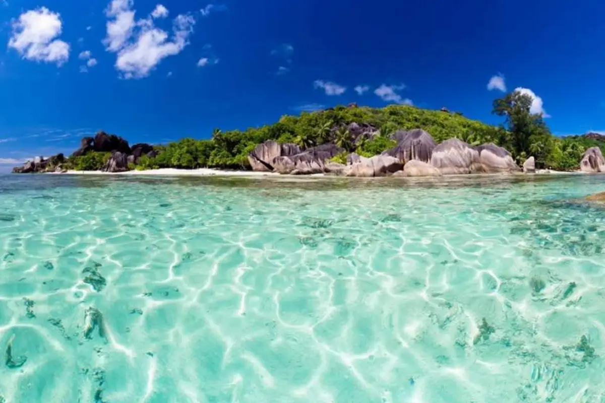 8 Days Tanzania Safari & Beach Break